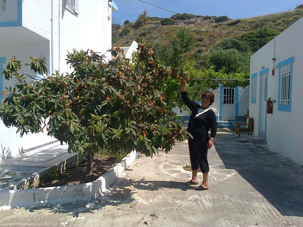 Dionysia Apartments Kéfalos Buitenkant foto